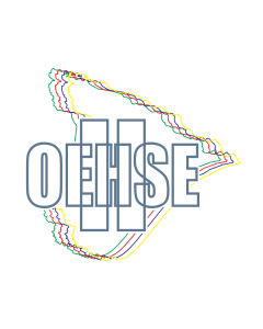 OEHSE 2025